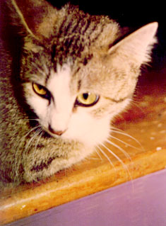 Emily