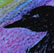 Twilight Swan